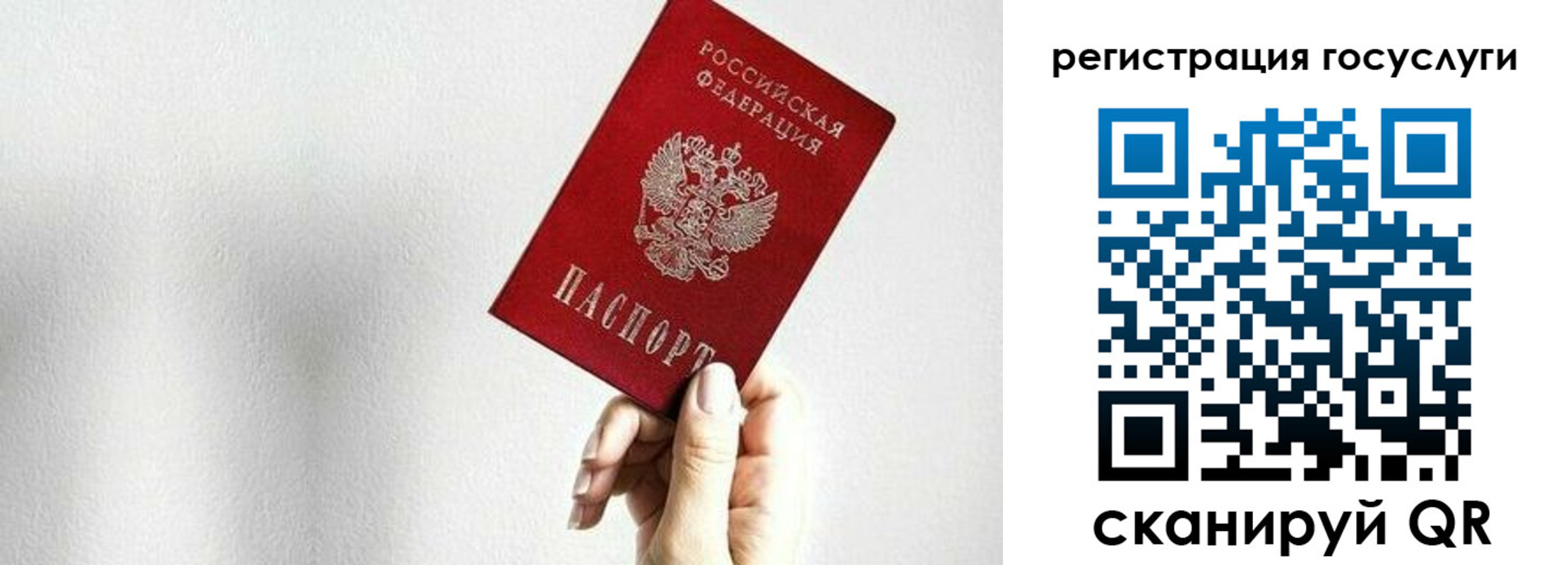временная регистрация гарантия в Куртамыше